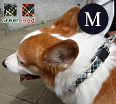 中型犬用首輪｜ASHU トラッド カラー Mサイズ｜ドックフードの通販