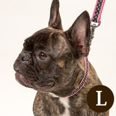 �緿���Ѽ��ءå�֥꡼�ɥåȡ��������� BB