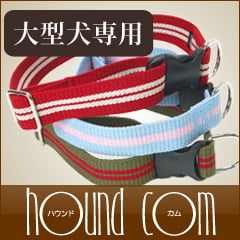 大型犬用首輪｜ASHU ツーラインカラー 超大型犬にも対応｜ドッグフード