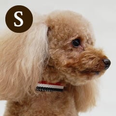 小型犬用首輪｜ASHU トリコロール カラー サイズ S｜ドックフード通販