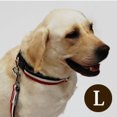 大型犬用首輪｜ASHU トリコロール カラー サイズ L｜ドックフード通販