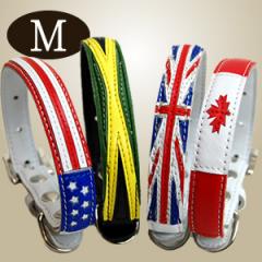 超小型犬用首輪｜ASHU ワールド カラー SSサイズ｜ドッグフードの通販