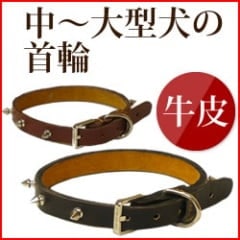 ����緿���ѡ����ե쥶�����ء����������緿���ˤ��б�