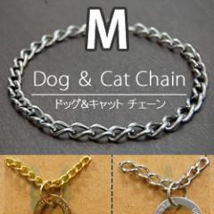 ���ѥ��������꡼�åɥå�������åȡ��������󡡣ͥ��������ڸ��ѥ�������ǭ�ѥ������󡡼��ء�