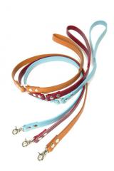 ���ѥ꡼�ɡ�ASHU��A-COLOR���꡼�ɡ����������淿��