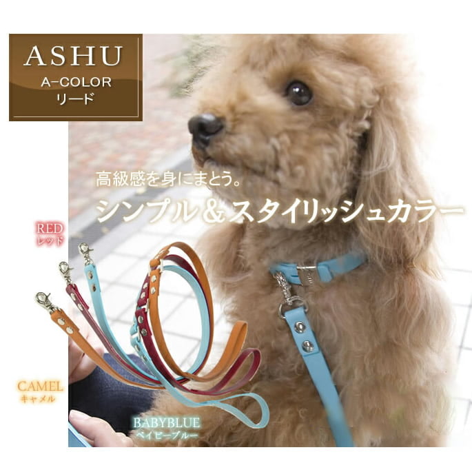 ���ѥ꡼�ɡ�ASHU��A-COLOR���꡼�ɡ����������淿��