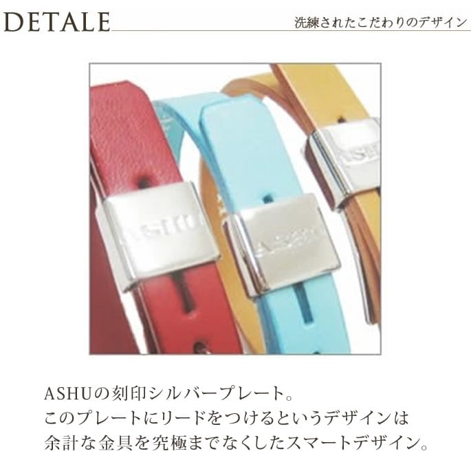 ���ѥ꡼�ɡ�ASHU��A-COLOR���꡼�ɡ����������淿��