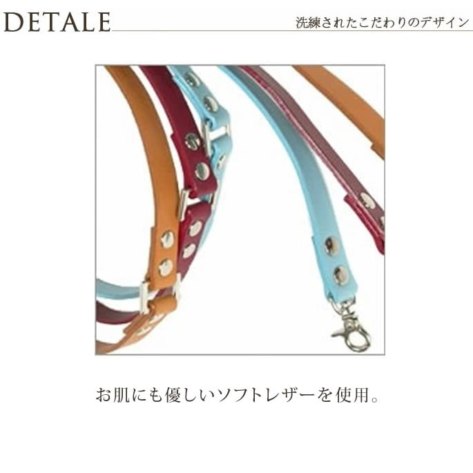 ���ѥ꡼�ɡ�ASHU��A-COLOR���꡼�ɡ����������淿��