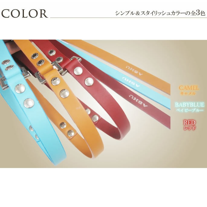 ���ѥ꡼�ɡ�ASHU��A-COLOR���꡼�ɡ����������淿��