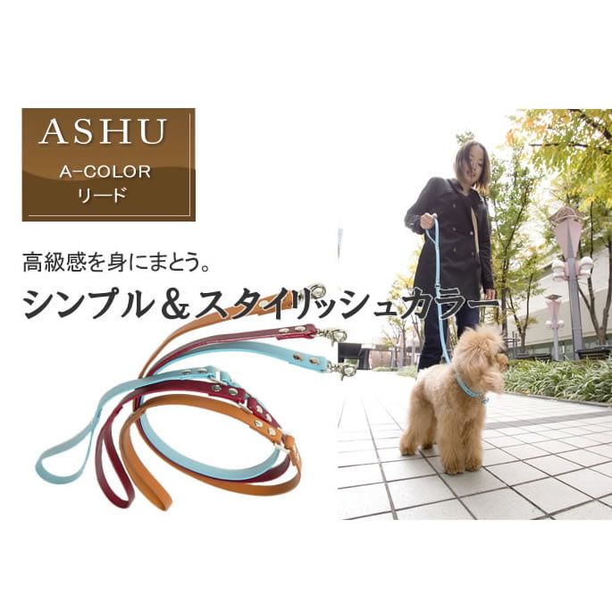 ���ѥ꡼�ɡ�ASHU��A-COLOR���꡼�ɡ����������淿��