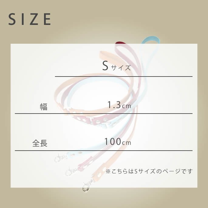 ���ѥ꡼�ɡ�ASHU��A-COLOR���꡼�ɡ����������淿��