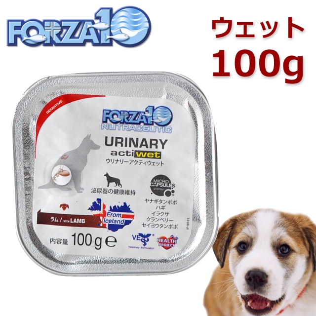 Forza10療法食 ウリナリー 結石ケア アクティウェット 100g 12缶セット 犬用 フォルツァディエチ