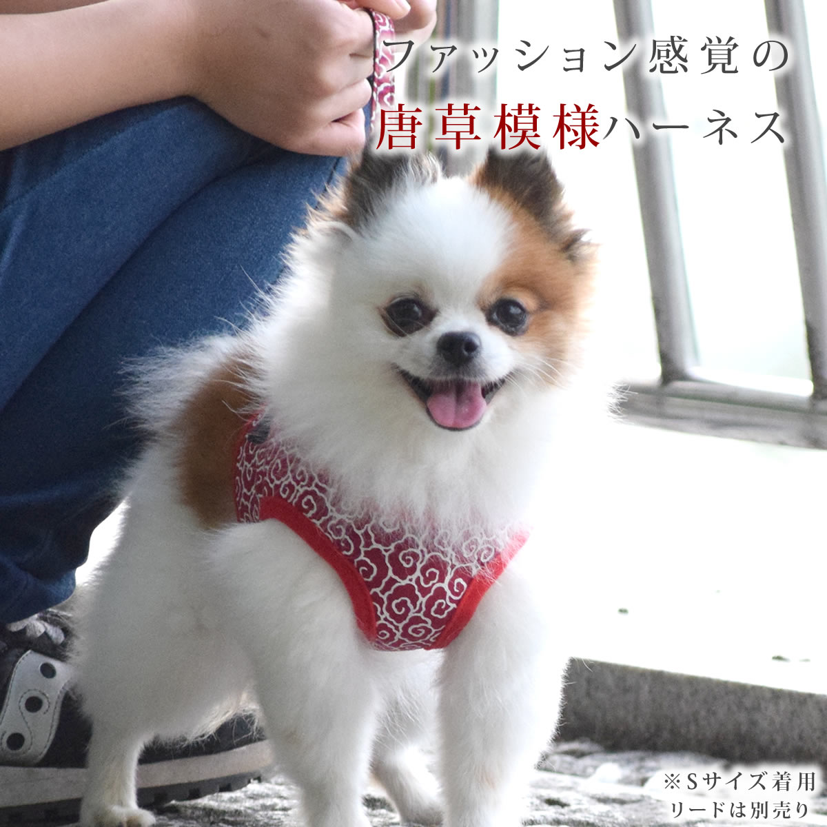 ASHUウェアハーネス 唐草 SSサイズ(小型犬用)