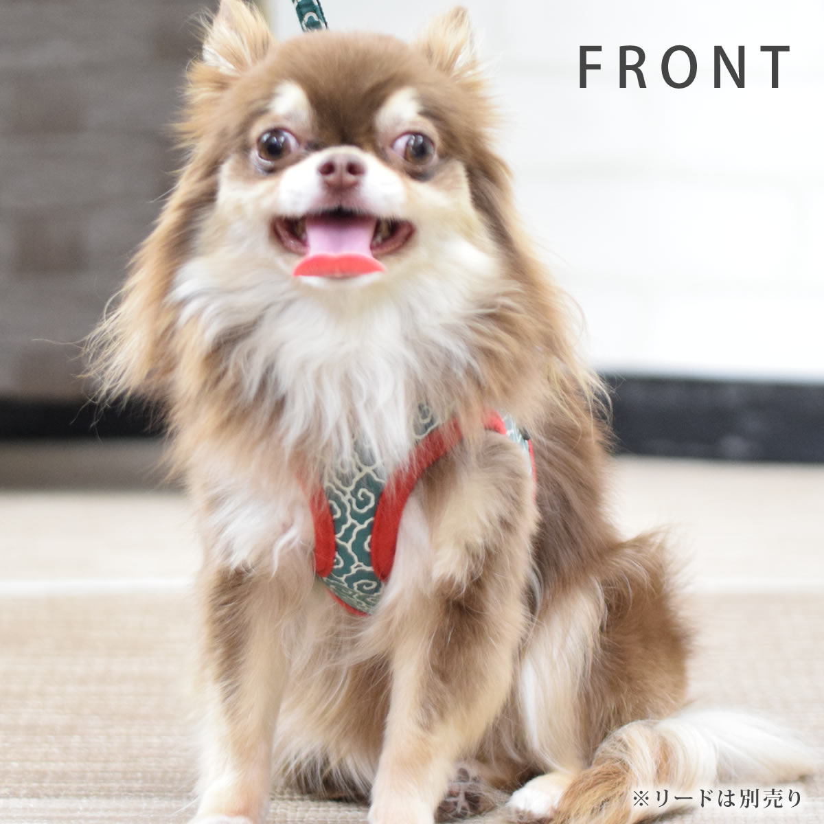 ASHUϡͥ  SS()ڥ꡼ɤ