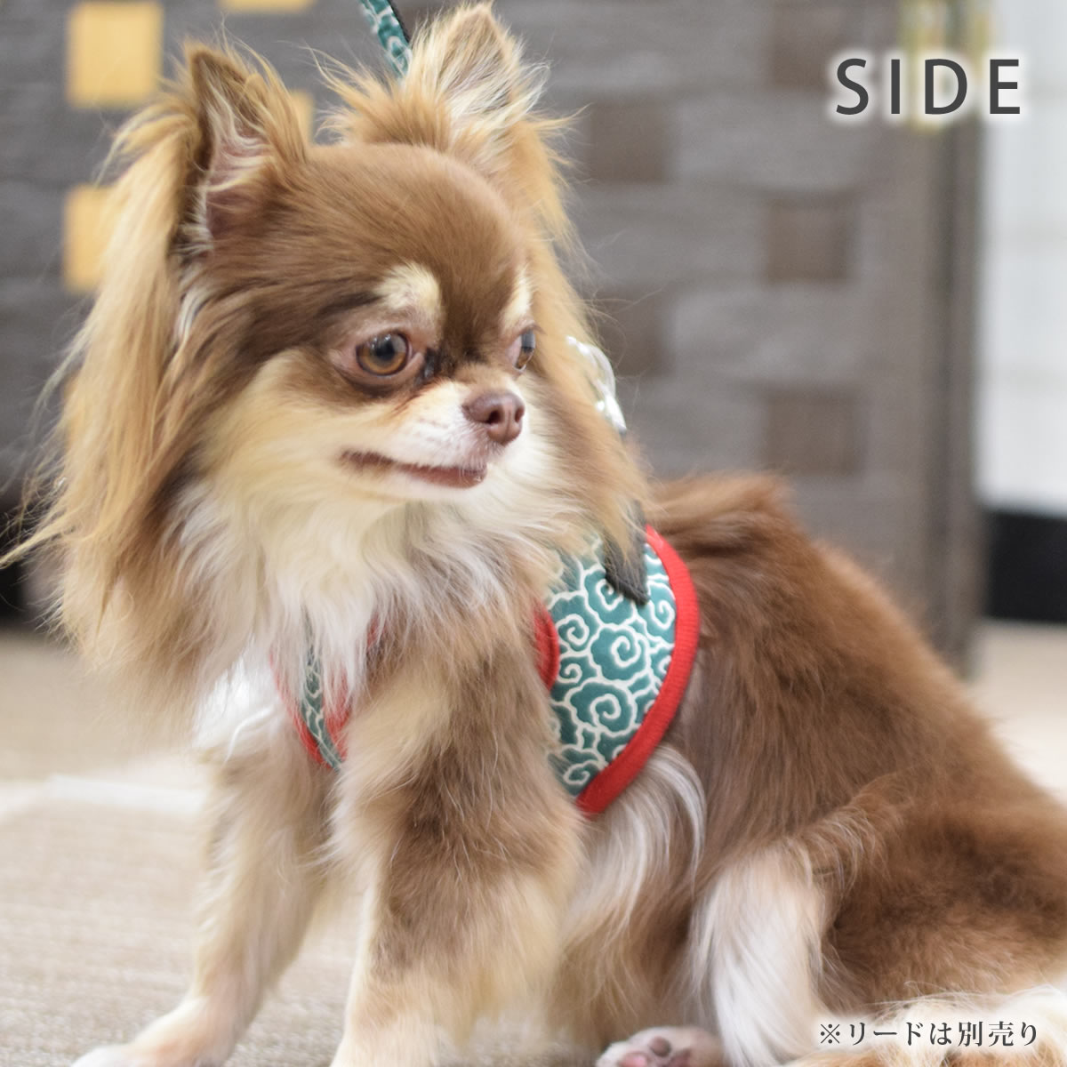 ASHUϡͥ  SS()ڥ꡼ɤ