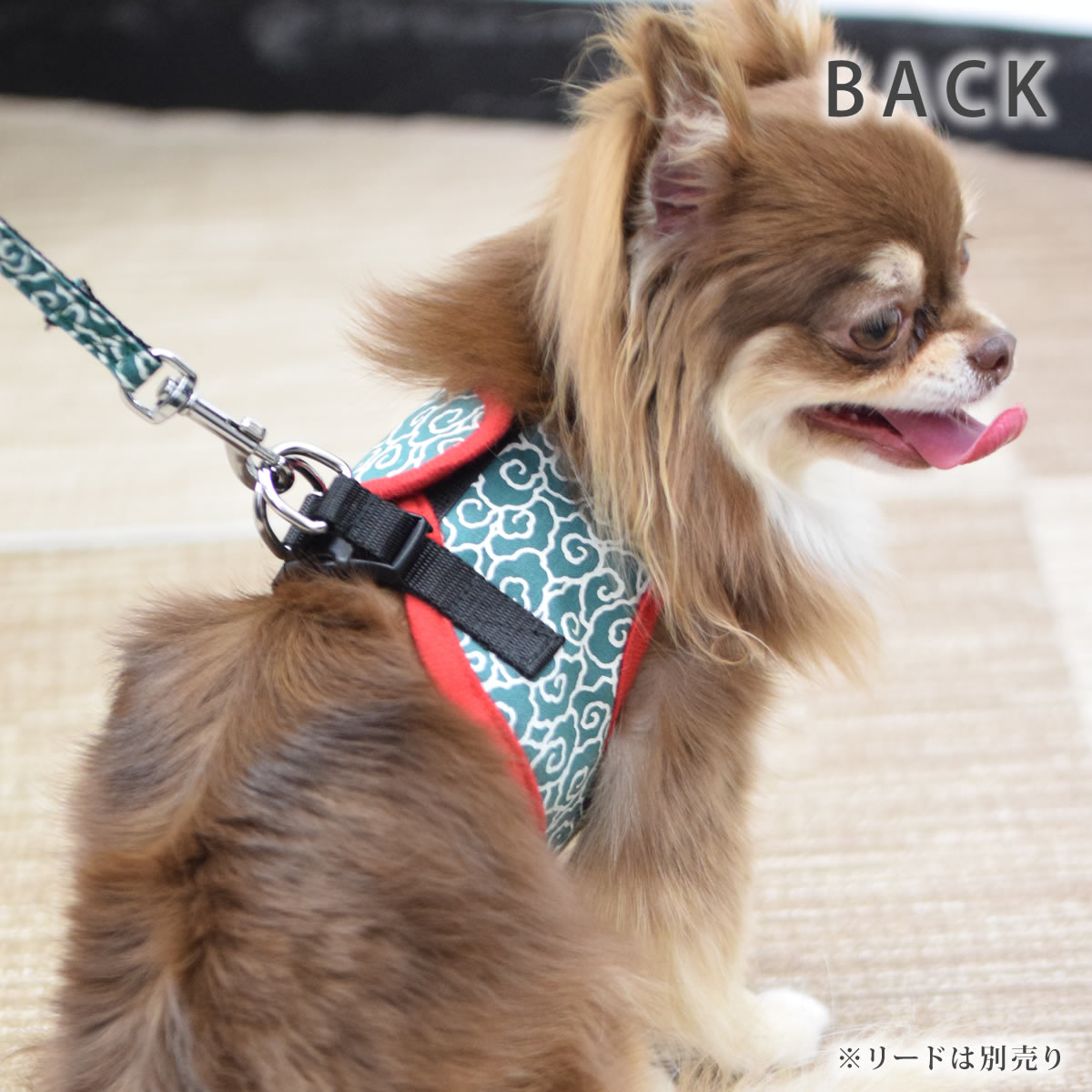 ASHUϡͥ  SS()ڥ꡼ɤ