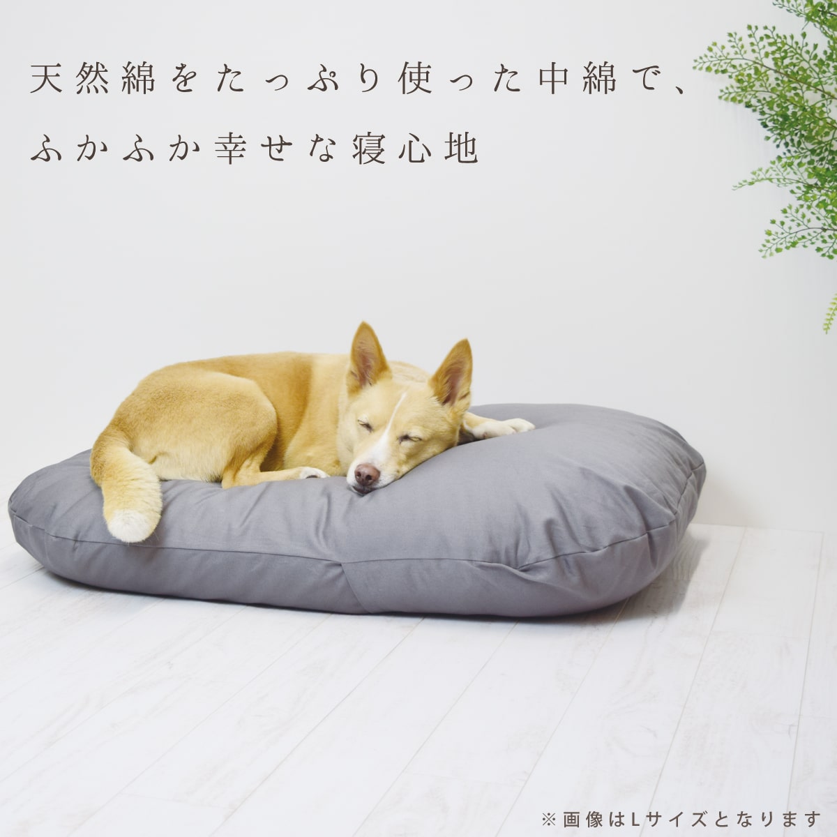 愛犬用】 至福のふかふか夢ふとん S｜ドックフードの通販・帝塚山