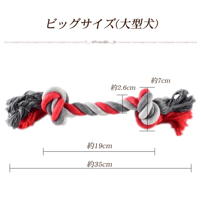 �����ѡ��ǥ󥿥뤪����㡡�����ץ���٥�