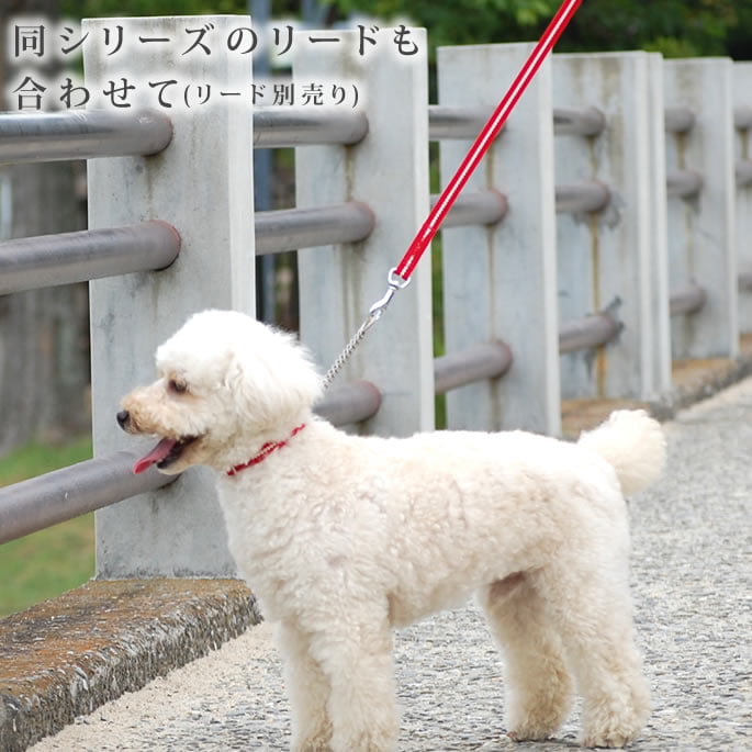 淿ѥϡե硼ASHU饤󡡥ϡե硼顼 M