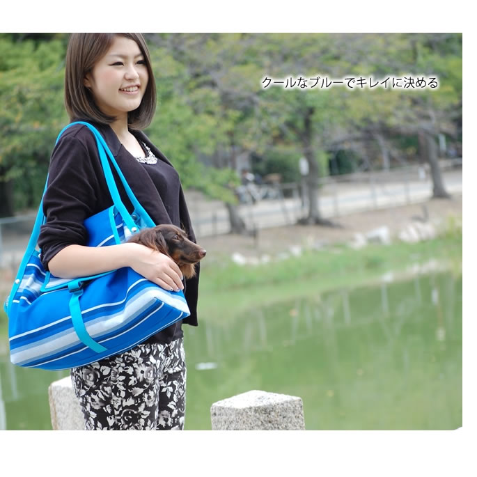 ���ѥ���꡼�Хå���ASHU ����֥�饭��꡼��BL