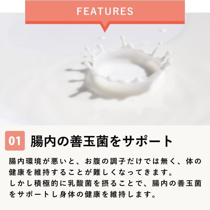 ���ѡ������ݥ��ץ���ȡ��������ȥ���ࡡ�����������Ǥ��ޤ��ۢ���ǭ�ˤ⤴���Ѥ��������ޤ�