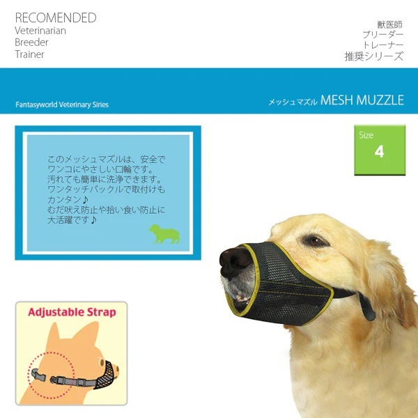 �ڸ��Τ��Ĥ��ˡۥ�å���ޥ��롡������No.1�� �ȥ졼�˥󥰤佦�������ɻߤ�