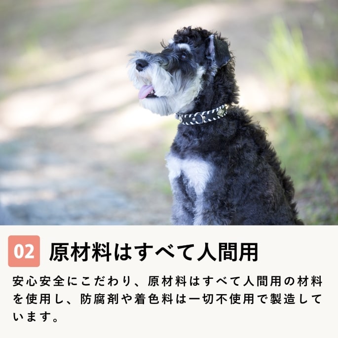 ���ѡ������ݥ��ץ���ȡ��������ȥ���ࡡ�����������Ǥ��ޤ��ۢ���ǭ�ˤ⤴���Ѥ��������ޤ�