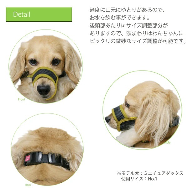 �ڸ��Τ��Ĥ��ˡۥ�å���ޥ��롡������No.1�� �ȥ졼�˥󥰤佦�������ɻߤ�