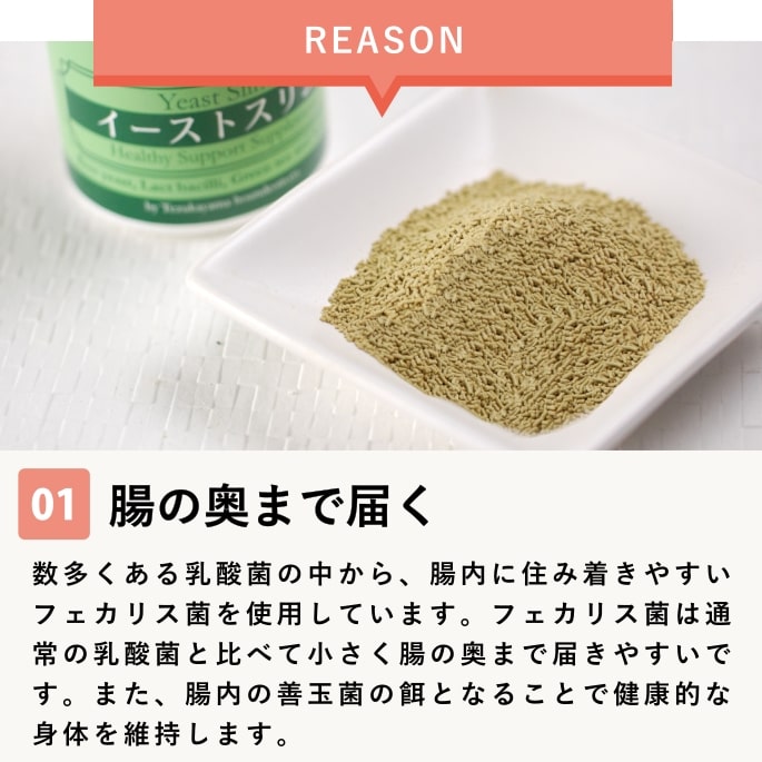 ���ѡ������ݥ��ץ���ȡ��������ȥ���ࡡ�����������Ǥ��ޤ��ۢ���ǭ�ˤ⤴���Ѥ��������ޤ�