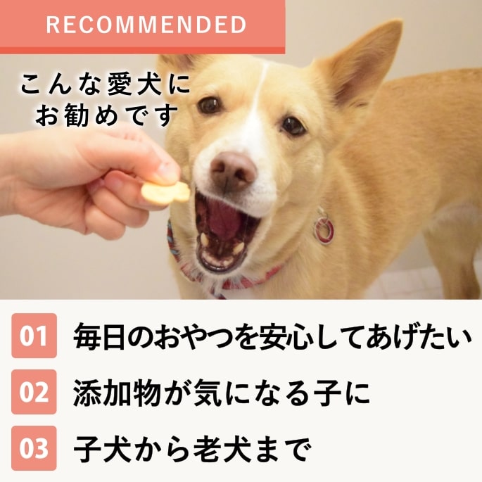 ���ѥ��å����å��ꥸ�ʥ륯�å��������������Ǥ��ޤ���