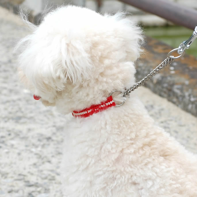 淿ѥϡե硼ASHU饤󡡥ϡե硼顼 M