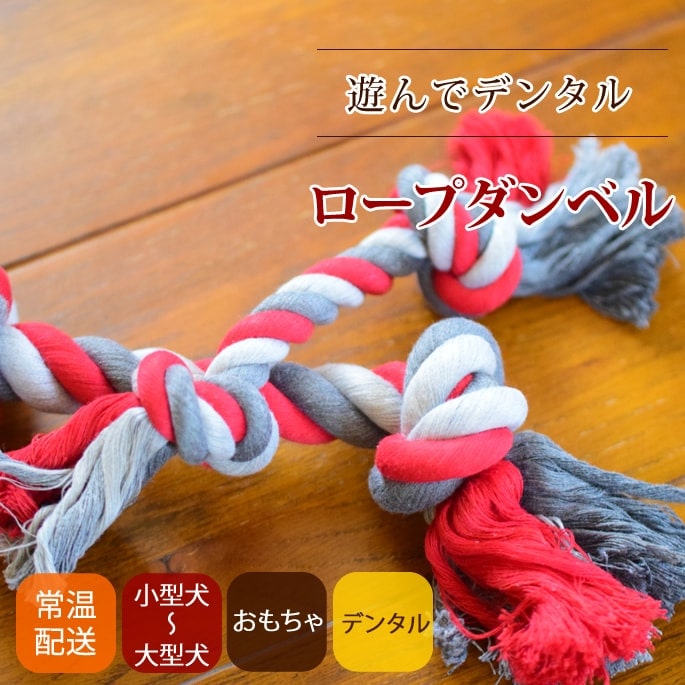 �����ѡ��ǥ󥿥뤪����㡡�����ץ���٥�