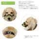 �ڸ��Τ��Ĥ��ˡۥ�å���ޥ��롡������No.1�� �ȥ졼�˥󥰤佦�������ɻߤ�