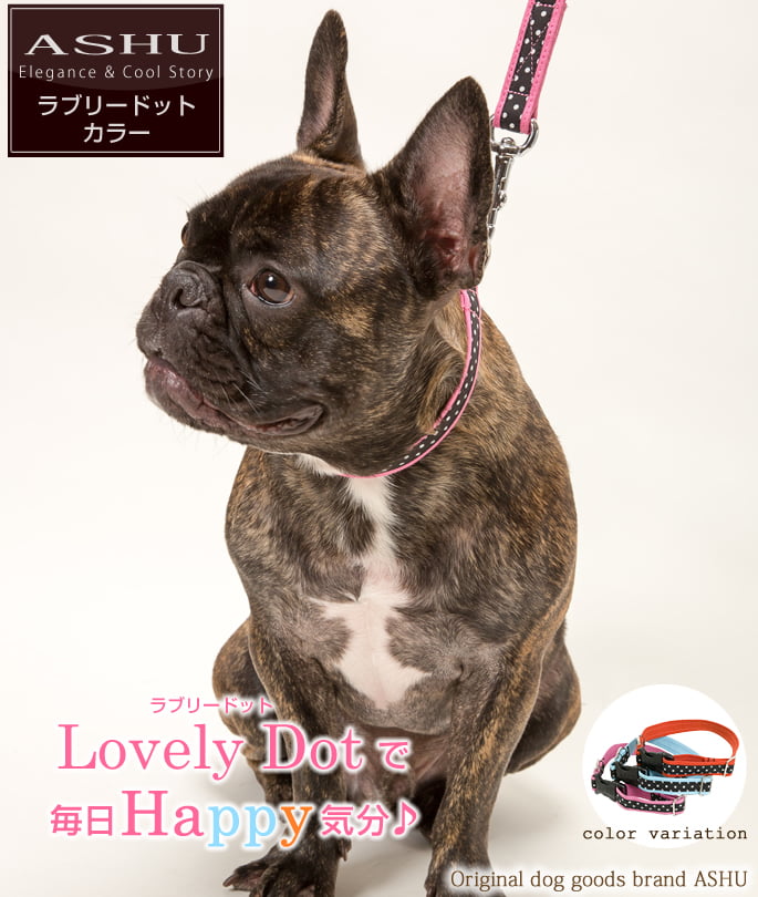 Ray Dog Kyoto　THEANIMALS 　犬首輪　Mサイズ 大型犬用首輪｜ラブリードット サイズL BB
