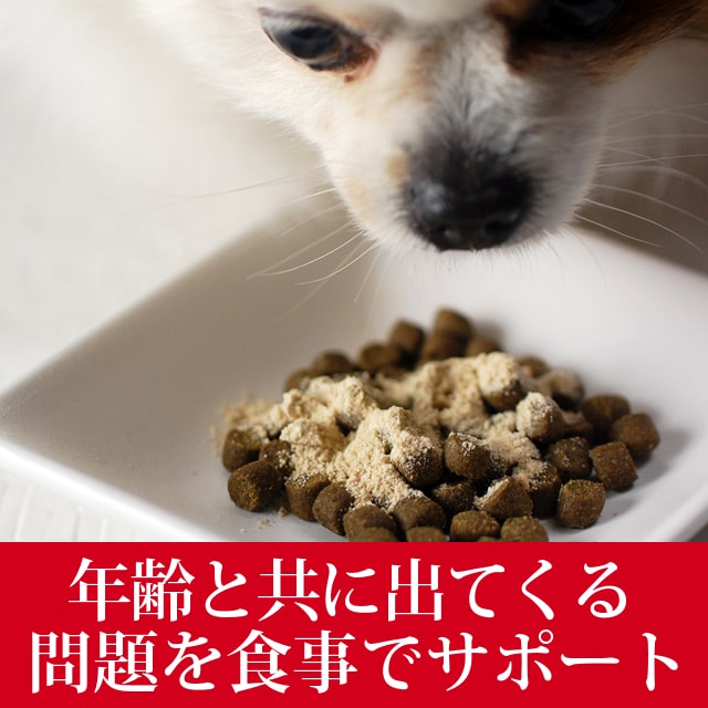 SANIMED サニメド シニア ドッグフード （計6kg）/新品/2袋×3kg