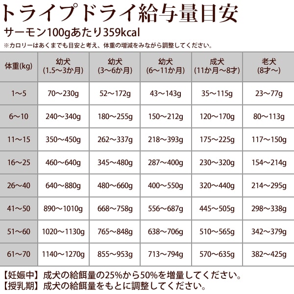 Ϸ���򹯥������åȡ�a0365��