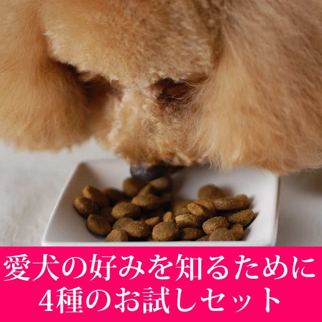 ����ǯ���б��۹�ʪ�Ի��Ѥκǹ��ա��ɡåȥ饤�ץɥ饤  �Х饨�ƥ�4��(��230g) �Х饨�ƥ��ѥå���a0335��