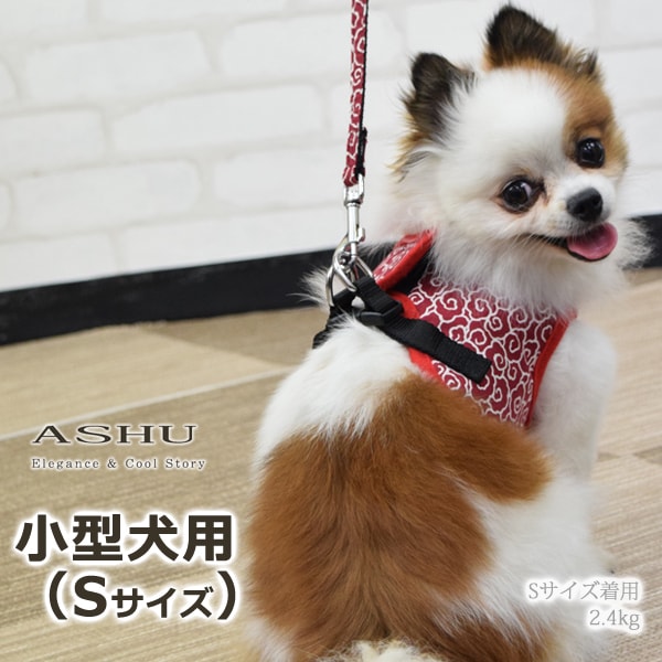 ASHUϡͥ  S()ڥ꡼ɤ