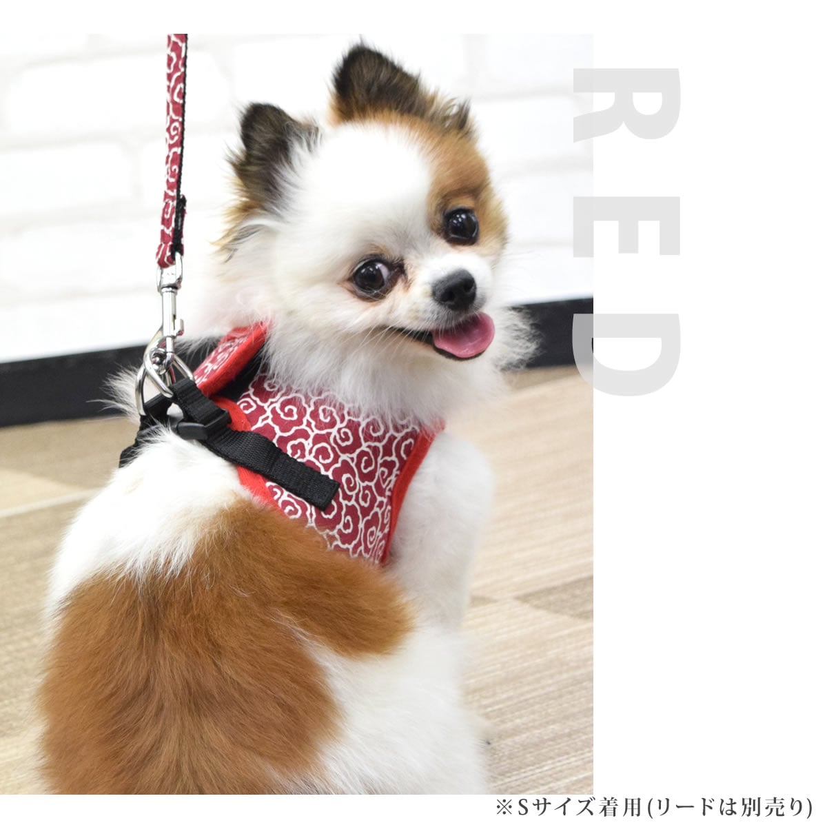 ASHUϡͥ  S()ڥ꡼ɤ