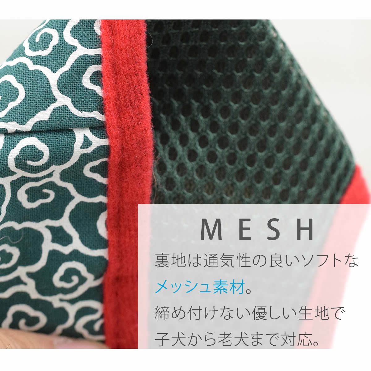 ASHUϡͥ  S()ڥ꡼ɤ