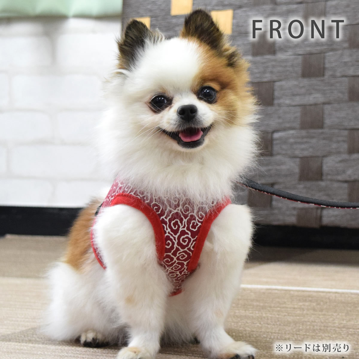 ASHUϡͥ  S()ڥ꡼ɤ