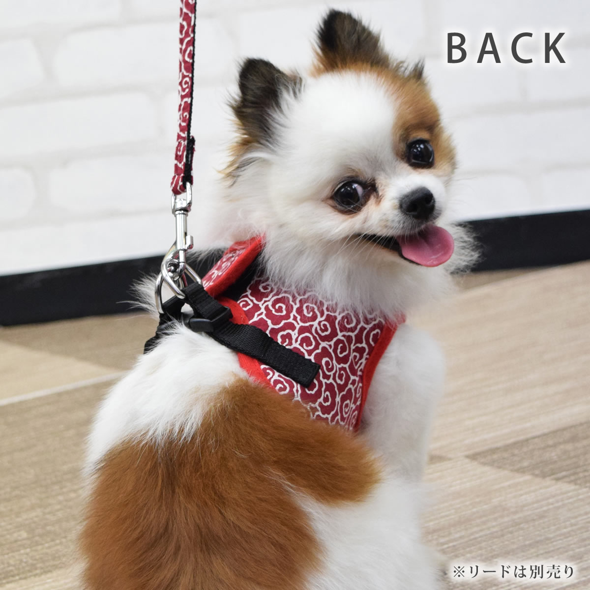 ASHUϡͥ  S()ڥ꡼ɤ