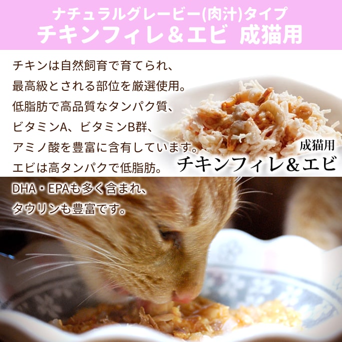 猫缶｜Schesir（シシア）/キャット チキンフィレ＆エビ缶 70g 