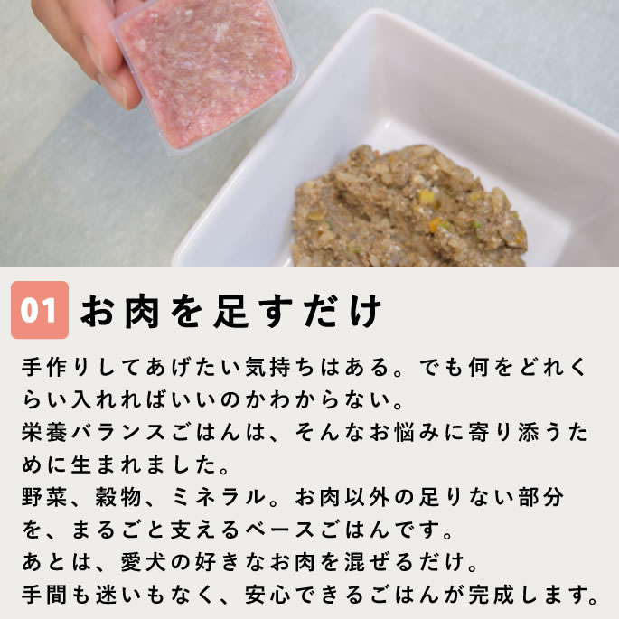 �����Ѽ��꿩 ������­���������ܥХ�󥹤��Ϥ�ڥϥ���ɥ��࿩Ʋ��