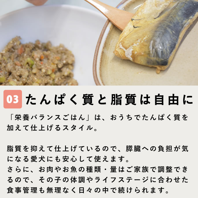 �����Ѽ��꿩 ������­���������ܥХ�󥹤��Ϥ�ڥϥ���ɥ��࿩Ʋ��