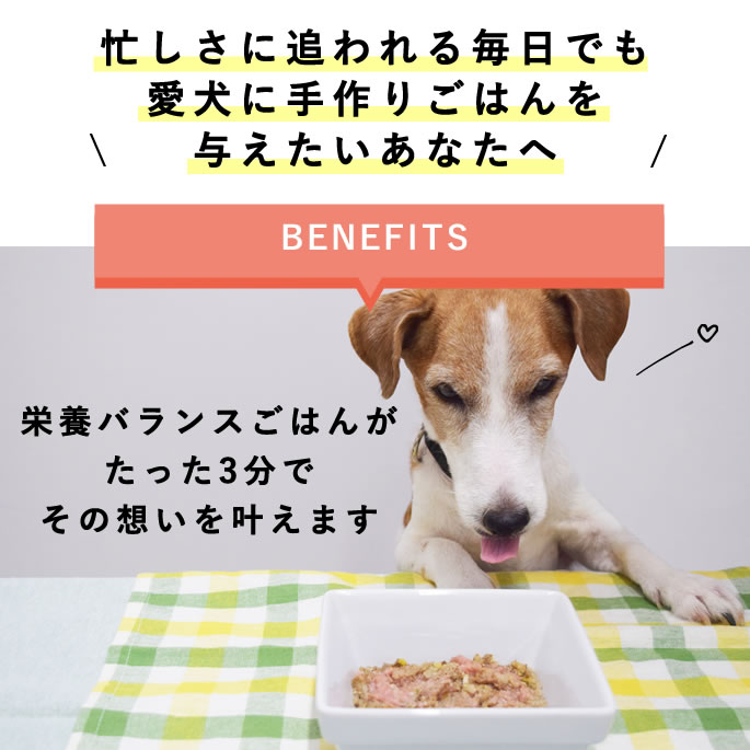 �����Ѽ��꿩 ������­���������ܥХ�󥹤��Ϥ�ڥϥ���ɥ��࿩Ʋ��