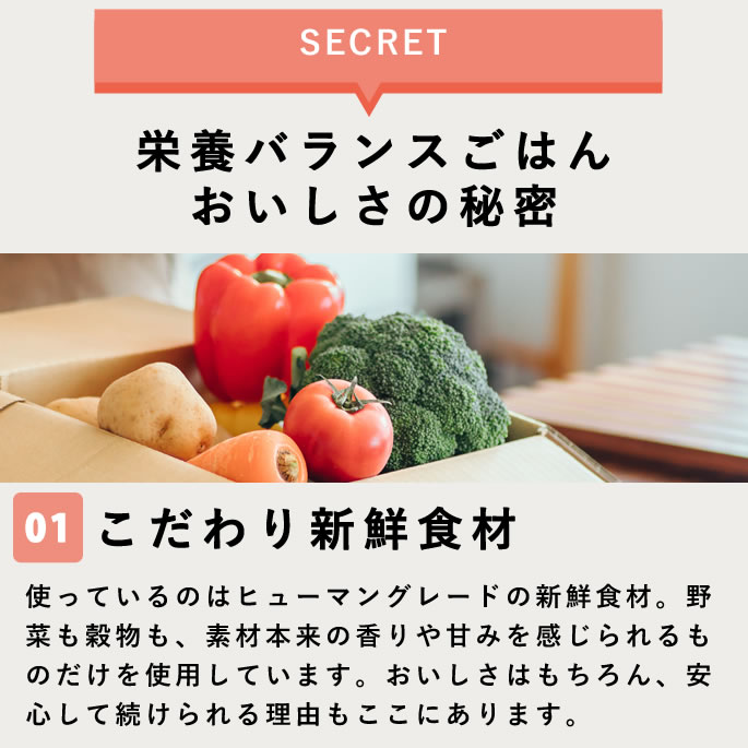 �����Ѽ��꿩 ������­���������ܥХ�󥹤��Ϥ�ڥϥ���ɥ��࿩Ʋ��