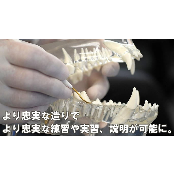 �ڼ��󤻾��ʡ۸���Ʃ�������Ϸ�