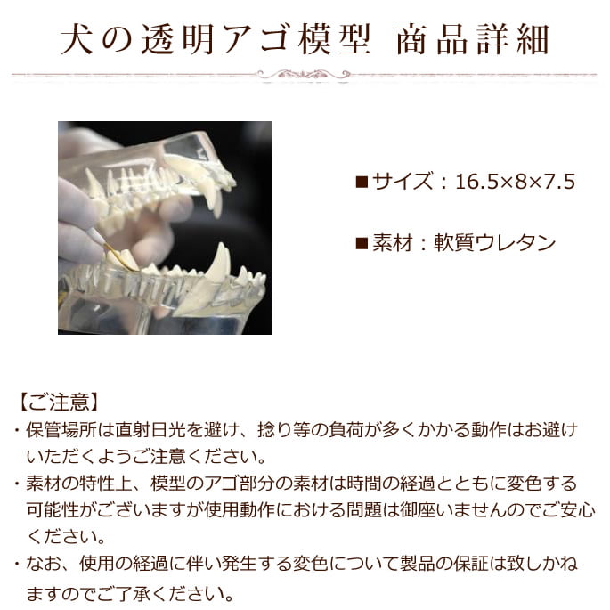 �ڼ��󤻾��ʡ۸���Ʃ�������Ϸ�