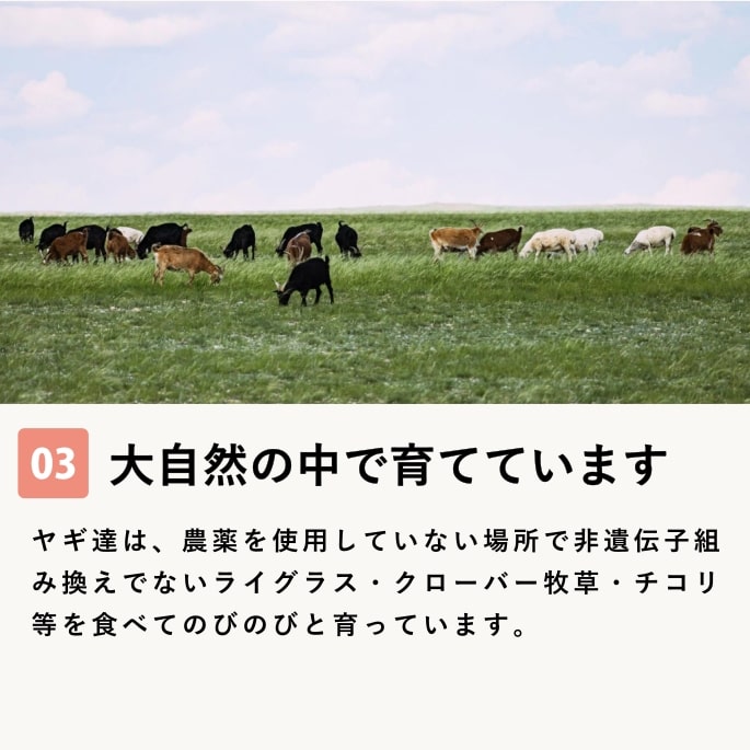 ��ǭ�ѥߥ륯��̵ź�å䥮�ߥ륯���������ˤ��a0056�ۡ����饿���ץ䥮�ߥ륯��